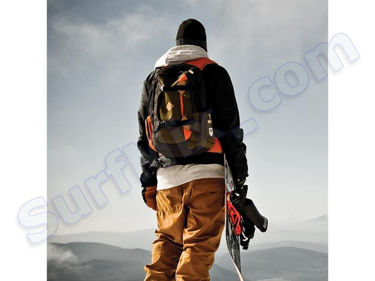 Plecak Dakine Team Mission Louif Paradis 25L 2015 + Naklejki gratis