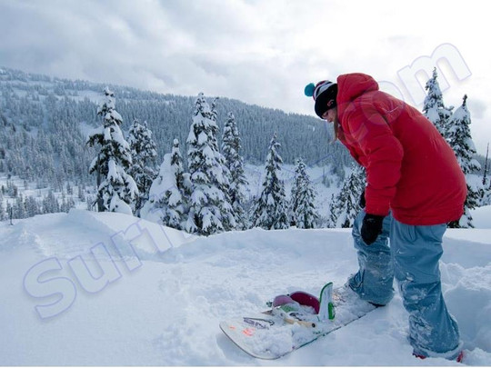 Plecak Dakine Academy Houndstooth 2012+ Naklejki gratis