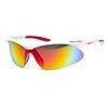 Okulary Arctica PRO SPEED S-195C