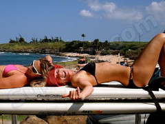 Plecak Dakine Garden 20L Jasmine 2013+ Naklejki gratis