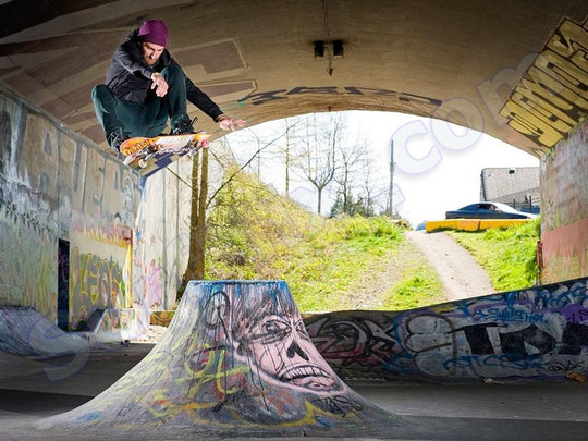 Plecak Dakine Mission Northwood 2012+ Naklejki gratis