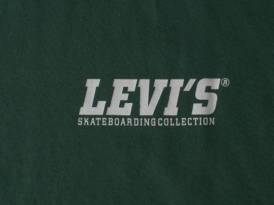 Koszulka Levis Skateboarding Graphic SS Tee LSC Small Core (34201-0019) F/W 2018