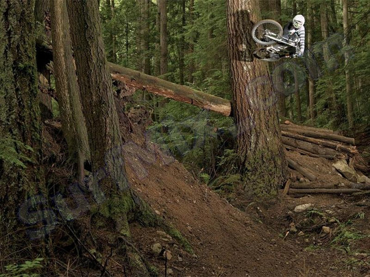 Plecak Dakine Campus SM Frequency 2012+ Naklejki gratis