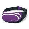 Saszetka Nerka Dakine Hip Pack PBS 2013