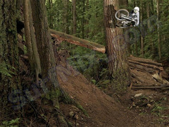 Plecak Dakine Campus SM Black Stripe 2012+ Naklejki gratis