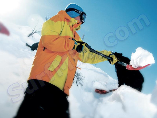 Plecak DAKINE Team Heli  Pro Elias Elhardt 2012+ Naklejki gratis