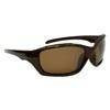 Okulary Blizzard PA8161 Clear Brown