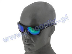 Okulary Arctica Gotland S-250C POLARYZACJA