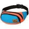 Saszetka Nerka Dakine Hip Pack Offshore 2014