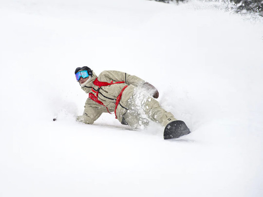 Plecak Dakine Womens Heli Pro 20L F/W Grapevine