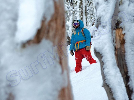 Plecak Dakine Jewel Skyler 2012+ Naklejki gratis