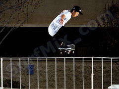 Plecak Dakine Element Rasta 26l 2012+ Naklejki gratis