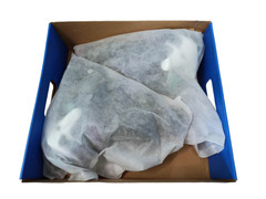 Powystawowe Rolki Powerslide Phuzion Radon Teal 90