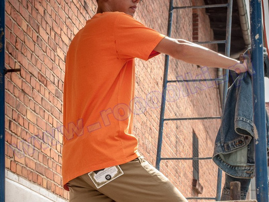 Koszulka Levis Skateboarding Graphic SS Tee Orange (34201-0013) S/S 2018