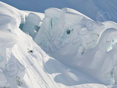 Plecak Dakine Academy 16L Flourish 2012+ Naklejki gratis