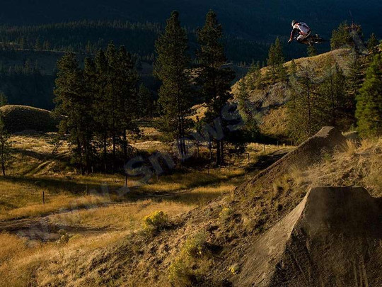 Plecak Dakine Explorer 26L Stumptown 2013 + Naklejki gratis