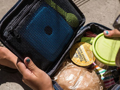 Opakowanie na śniadanie Dakine Lunch Box Hibiscus Palm S/S 2018
